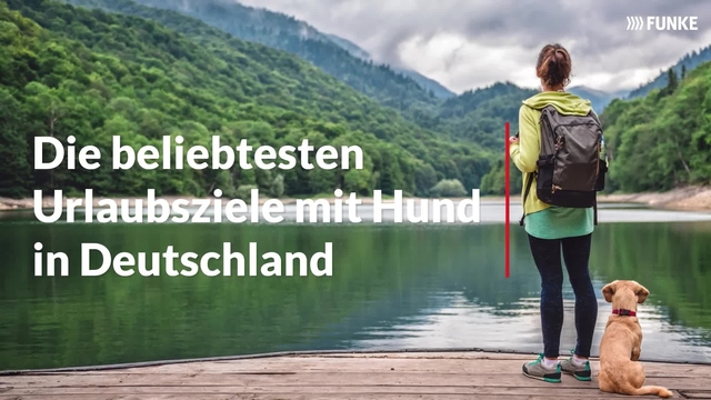 Die Beliebtesten Urlaubsziele Mit Hund in Deutschland