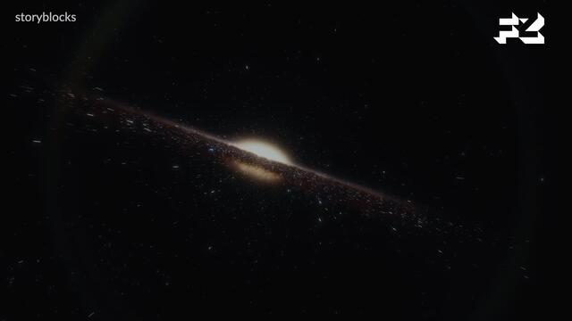 Morgen auf den Weg ins All: Das sollen ausgerechnet Tintenfische auf der ISS