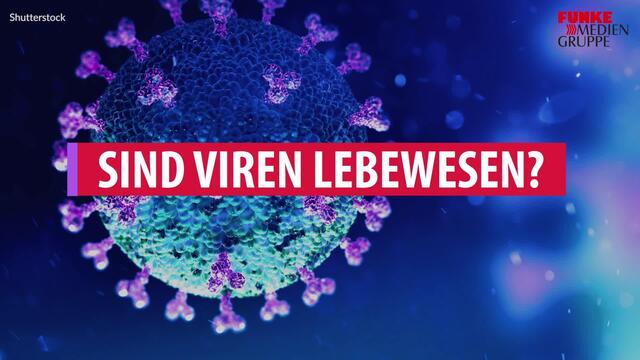 Sind Viren Lebewesen?