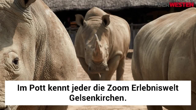 Die Zoom Erlebniswelt in Zahlen