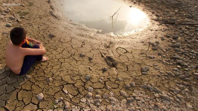 Wetter-App von Kachelmann: Auf diese Apps schwört der Wetterexperte
