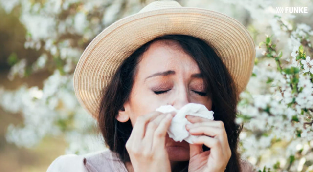 Allergie loswerden: Wie funktioniert eigentlich Hyposensibilisierung?