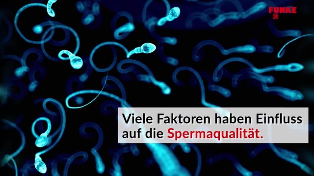 Gefahr für die Fruchtbarkeit des Mannes: Diese Faktoren beeinflussen die Spermaqualität