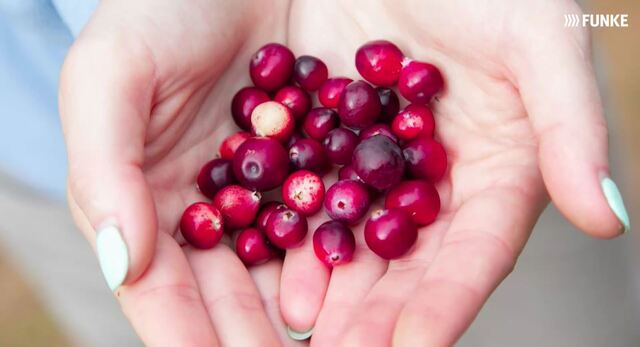 Beerenstark: So gesund sind Cranberries