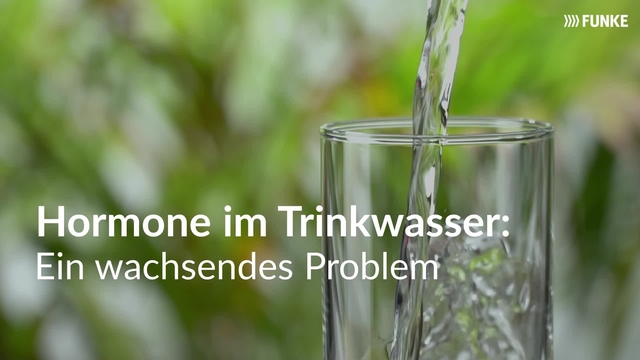 Hormone im Trinkwasser: Ein wachsendes Problem