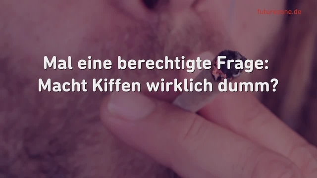 Nach dem Kiffen: Wie lange es dauert, bis THC aus dem Gehirn ist