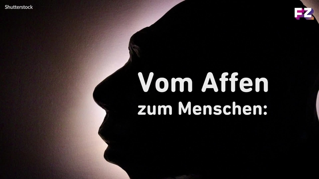 Einzelgänger: Laut Forschung könnten sie die Gesellschaft retten