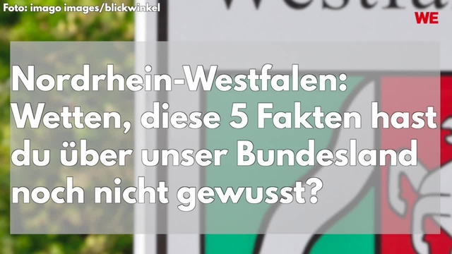 Die Toten Hosen Konzert Düsseldorf: SIE stürmen die Bühne 