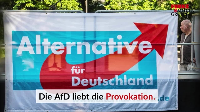 Diese vier Aussagen von AfD-Politikern sorgten für Wirbel