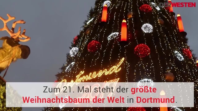 Weihnachtsbaum