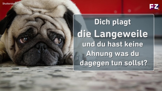 Top Software für dein Handy: Das sind die 5 praktischsten Adobe-Apps