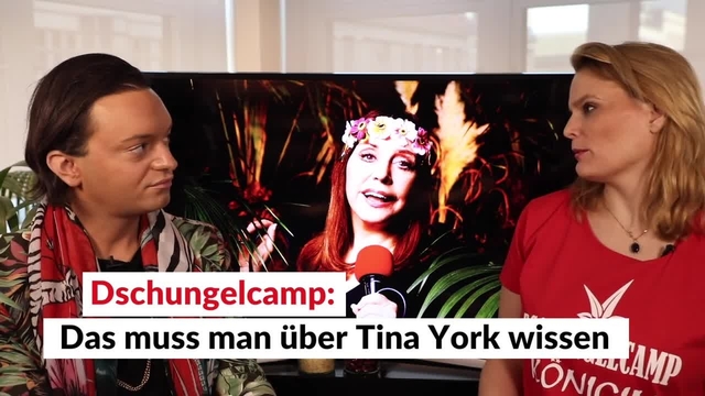 Dschungelcamp: Das muss man über Tina York wissen