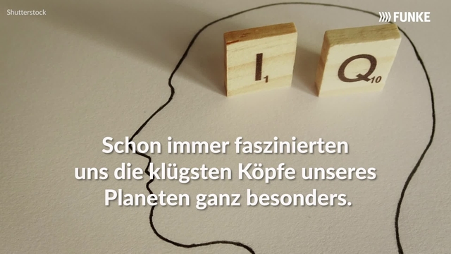 Höchster IQ der Welt: Das sind die klügsten Köpfe unserer Zeit