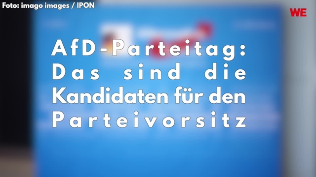 AfD Parteitag: Das sind die Kandidaten für den Parteivorsitz