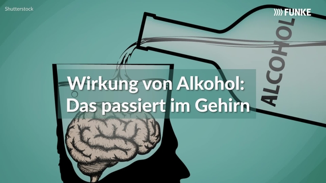 Wirkung von Alkohol: Das passiert im Gehirn