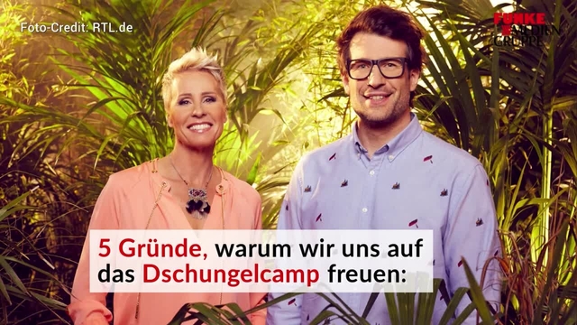 IBES: Fünf Gründe, warum wir uns auf das Dschungelcamp freuen