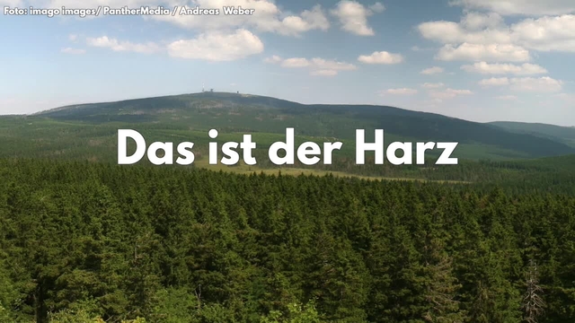 Das ist der Harz