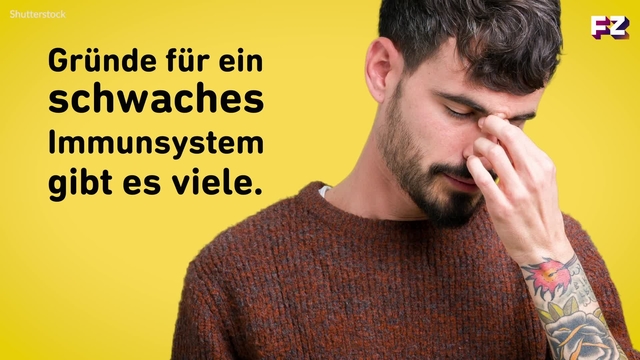 Wie du dein Immunsystem stärkst: 5 Tipps helfen dir dabei