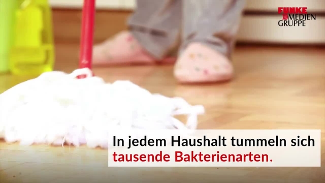 Das sind die Keimschleudern im Haushalt