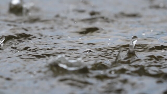 Regen, Starkregen und Dauerregen: Das sind die Unterschiede