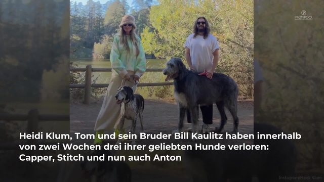 Todesfall bei Heidi Klum & Tom Kaulitz: „Habe keine Tränen mehr“