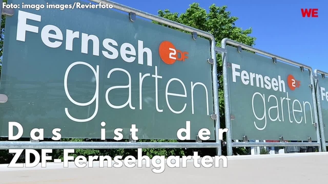 Das ist der ZDF-Fernsehgarten