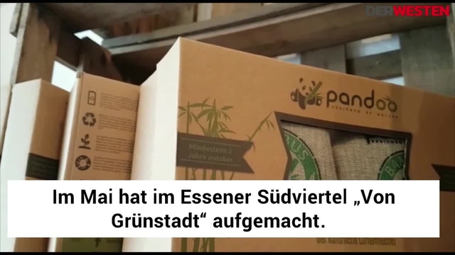 Plastikfrei im Alltag? Die Ladenbesitzerin von „Von Grünstadt“ gibt dir Tipps!