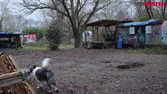 Ein Besuch auf dem Bauwagenplatz in Duisburg Homberg