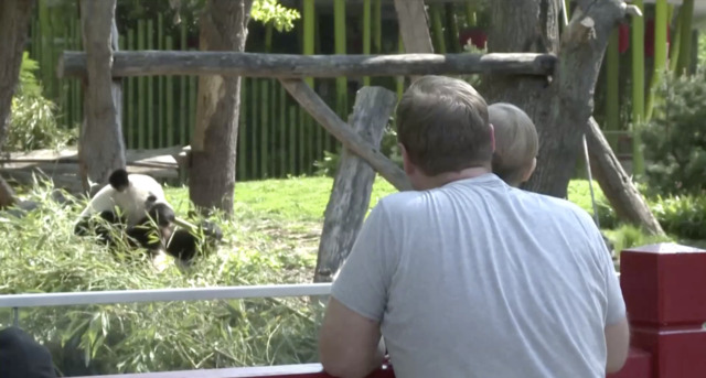 Das sind die fünf größten Zoos Deutschlands