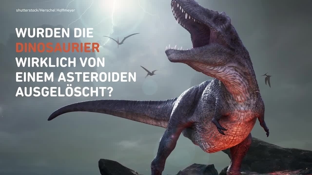 Diese Fossilien zeigen, dass die Dinosaurier von Asteroiden ausgelöscht wurden