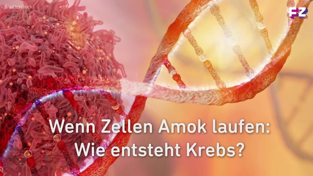 Wenn Zellen Amok laufen - Wie entsteht Krebs?