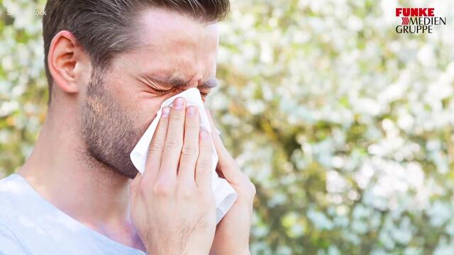 Allergie loswerden: Wie funktioniert eigentlich Hyposensibilisierung?