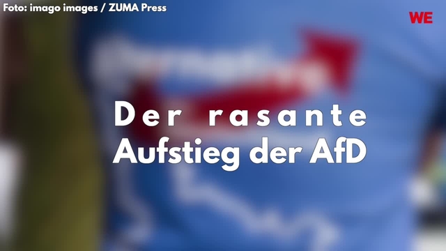 Der rasante Aufstieg der AfD