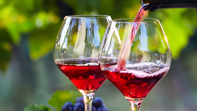 Cremige Rieslingsuppe: Die perfekte Vorspeise f&uuml;r das Weihnachtsfest