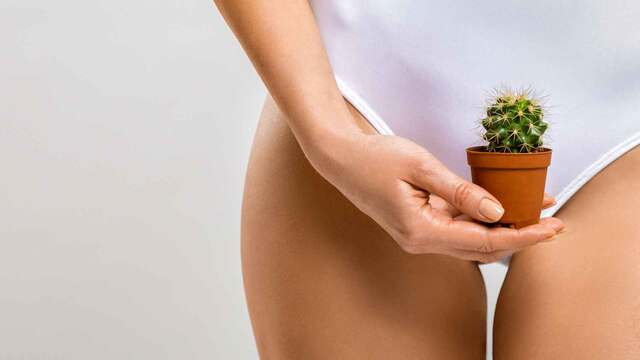 Bikinizone wachsen: Mit diesen Tipps tut's nicht so weh