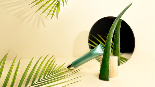 Rettung f&uuml;r trockene Haut: Wie gut ist die Urea Cica Repair Hauterneuernde Creme?