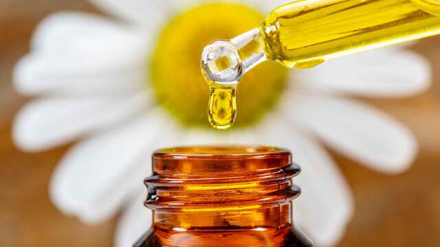 Bachbl&uuml;ten Wirkung: Echte Hilfe oder nur Placebo?