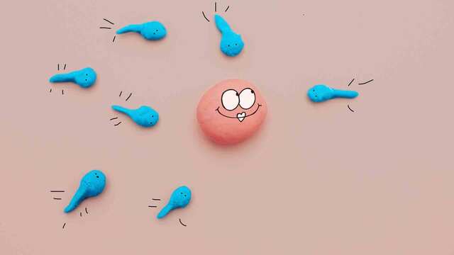 Kinderwunschbehandlung k&uuml;nstliche befruchtung