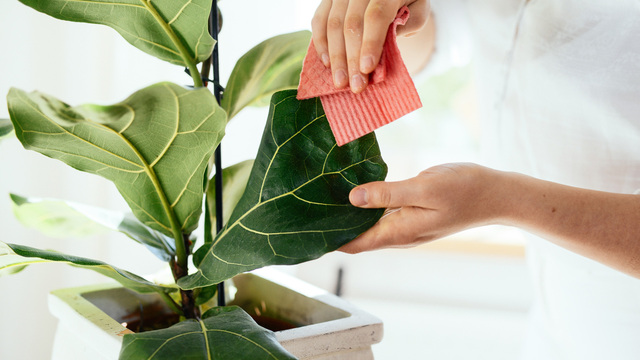 Vorab im Video: 3 Fehler, die deinen Balkon ruinieren