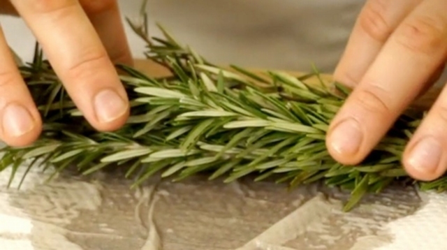 Frisch auf den Tisch: Kr&auml;uter richtig lagern